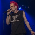 Click to enlarge GutterPunk - Professional Concert Photography